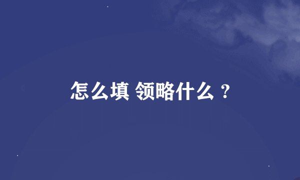 怎么填 领略什么 ?