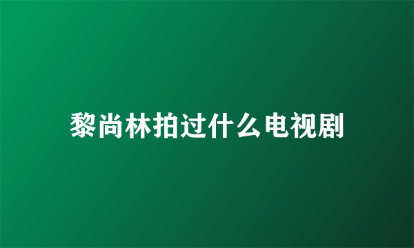 黎尚林拍过什么电视剧
