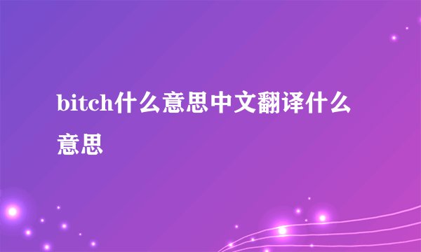 bitch什么意思中文翻译什么意思