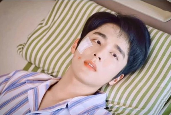 电视剧以家人之名主要演员