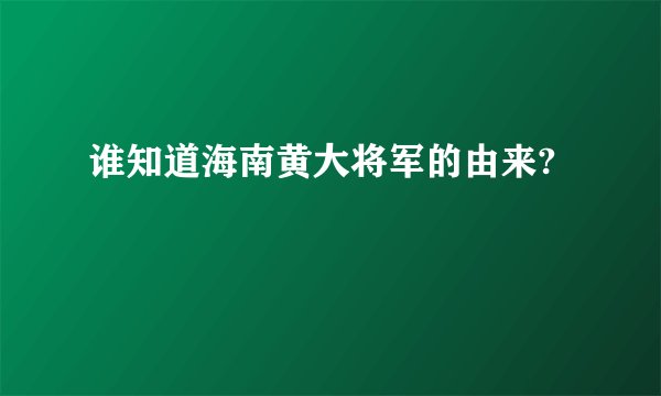 谁知道海南黄大将军的由来?