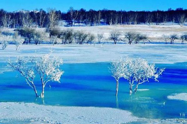 全球变暖的现状下，黑龙江漠河为何还比往年提前了一个月飘雪？