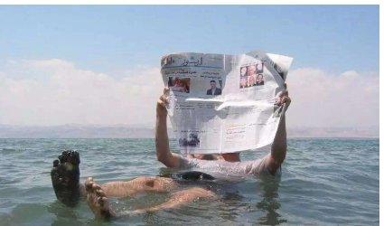 哪的海不产鱼脑筋急转弯