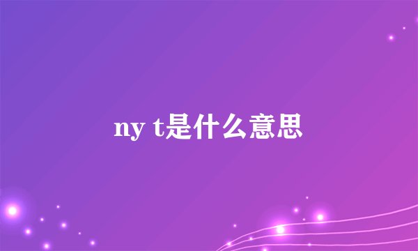 ny t是什么意思