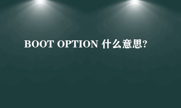 BOOT OPTION 什么意思?