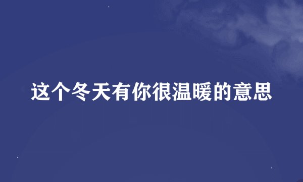 这个冬天有你很温暖的意思