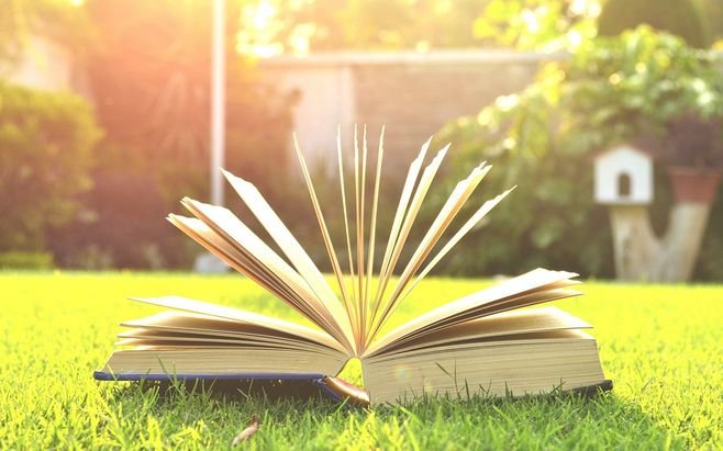 《蜜汁肉桃》讲了什么？