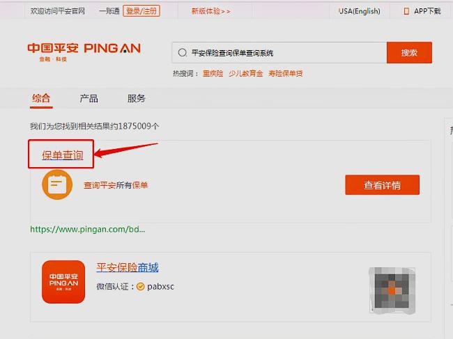www.pingan.com/dz查保单怎样查
