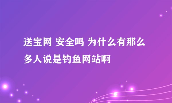 送宝网 安全吗 为什么有那么多人说是钓鱼网站啊