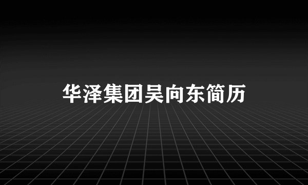 华泽集团吴向东简历