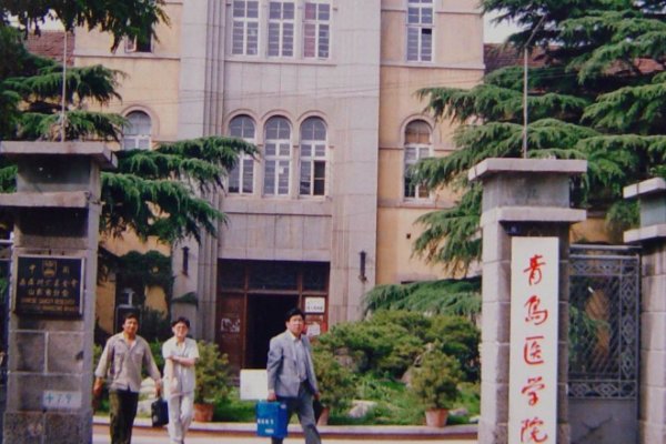 青岛大学医学院2024年考研报名人数