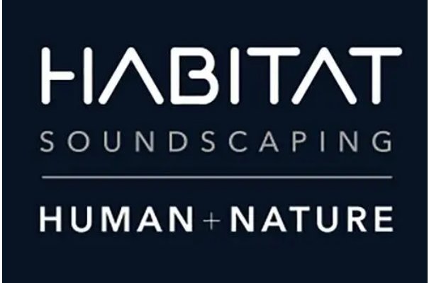 dynamically是什么意思