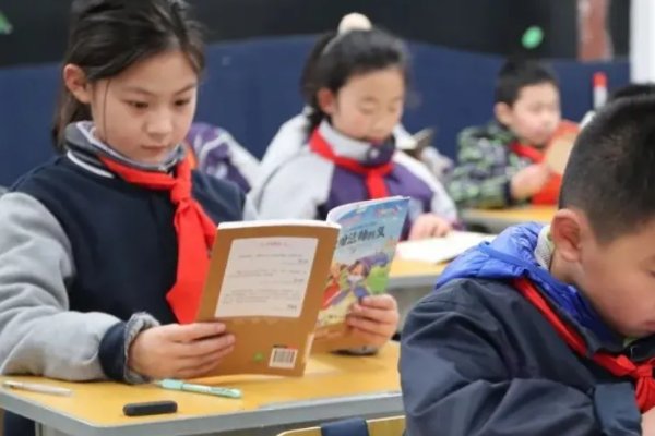 学校课后服务申请理由