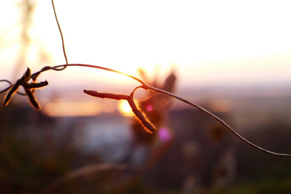 夕阳西沉的时间的介绍