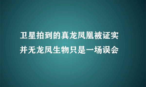 卫星拍到的真龙凤凰被证实 并无龙凤生物只是一场误会