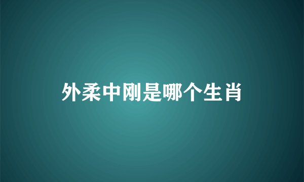 外柔中刚是哪个生肖