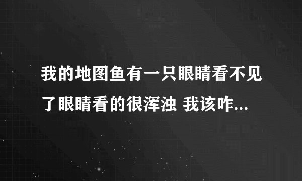 我的地图鱼有一只眼睛看不见了眼睛看的很浑浊 我该咋办？谢谢