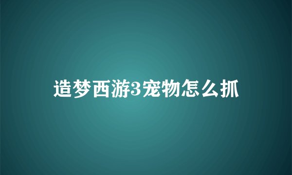 造梦西游3宠物怎么抓
