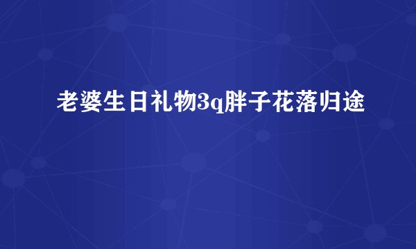 老婆生日礼物3q胖子花落归途