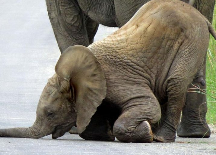 用。栽跟头造一句话？