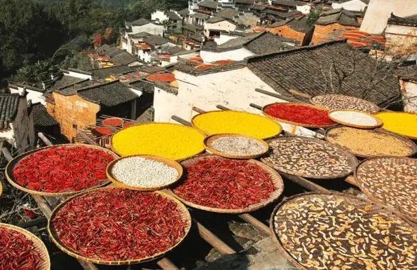 重阳节的习俗是什么