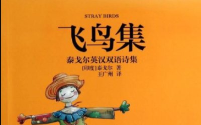 你看不见你自己，你所看见的只是你的影子。这句诗如何理解呢？谢谢