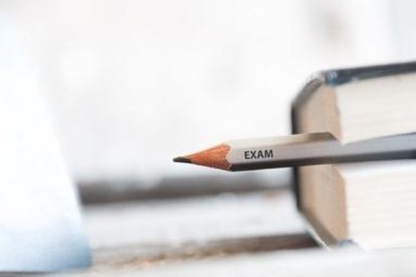 essays是什么意思