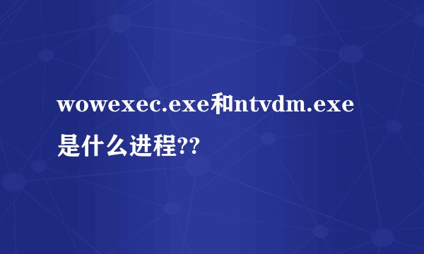 wowexec.exe和ntvdm.exe是什么进程??