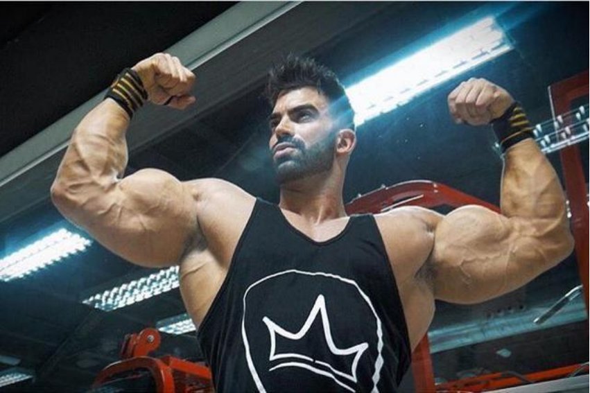 五大三粗是褒义词还是贬义词蚂蚁