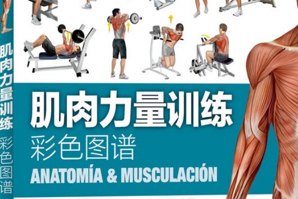 陈茂蓬训练方法pdf