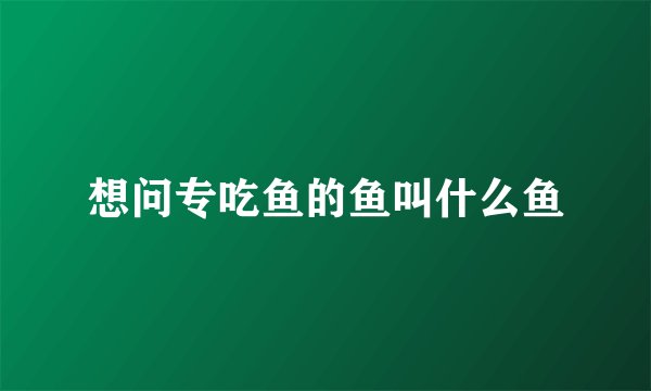 想问专吃鱼的鱼叫什么鱼