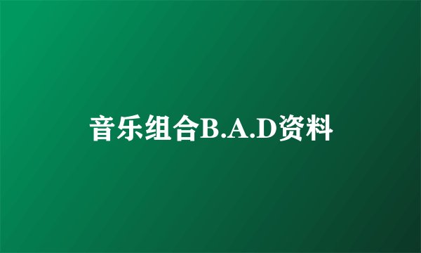 音乐组合B.A.D资料