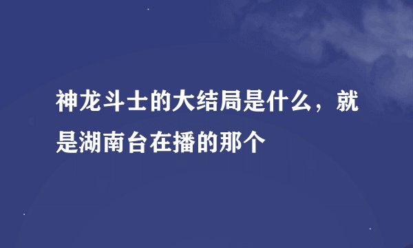 神龙斗士的大结局是什么，就是湖南台在播的那个