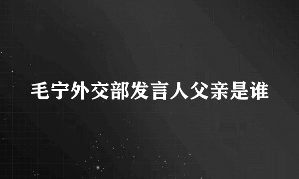 毛宁外交部发言人父亲是谁