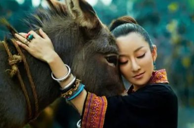 顶顶的大名叫什么？