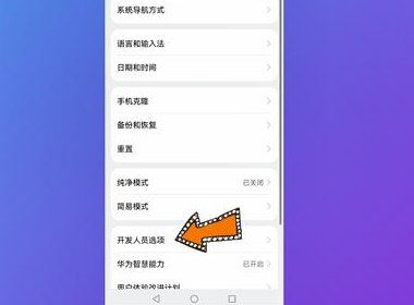 华为usb调试在哪