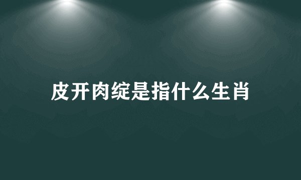 皮开肉绽是指什么生肖