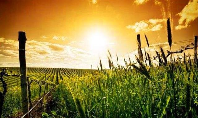 俗语“但知行好事，莫要问前程”，这句话出自何处？