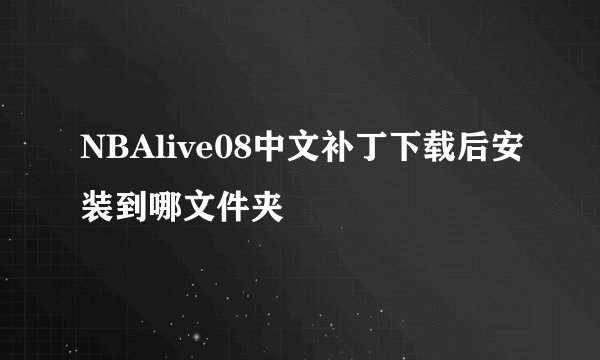 NBAlive08中文补丁下载后安装到哪文件夹