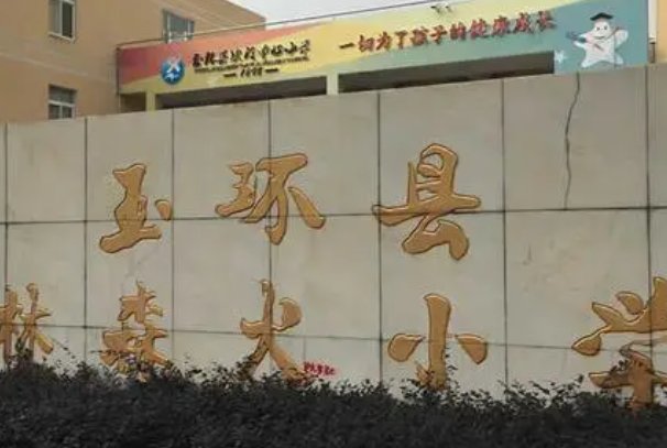 玉环市林森火小学原名叫什么