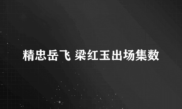 精忠岳飞 梁红玉出场集数