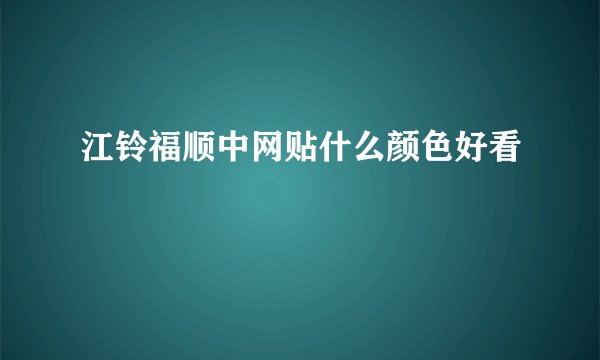 江铃福顺中网贴什么颜色好看