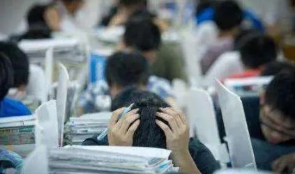 中考分数查询电话是多少？