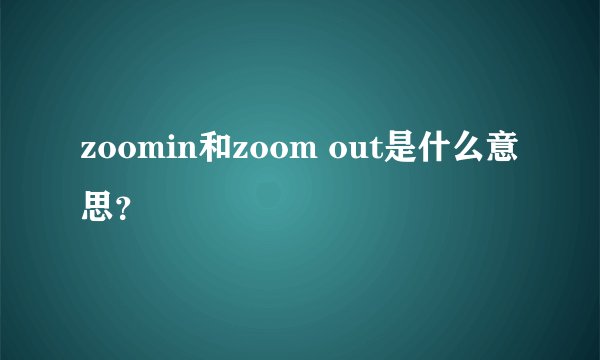 zoomin和zoom out是什么意思？