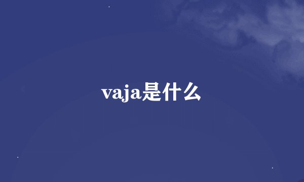 vaja是什么