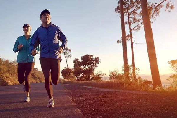 陈茂蓬训练方法pdf