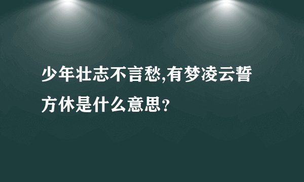 少年壮志不言愁,有梦凌云誓方休是什么意思？