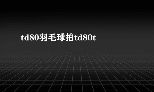 td80羽毛球拍td80t