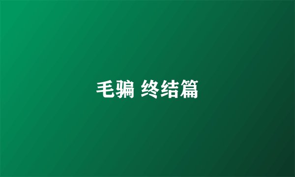 毛骗 终结篇