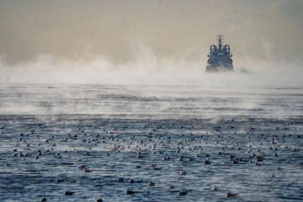 海浩现象指的是什么